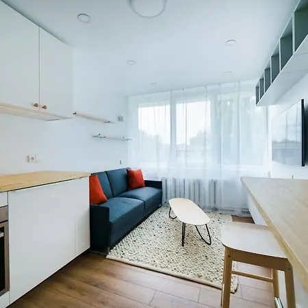 Stylish Studio In Iii Vilnius
