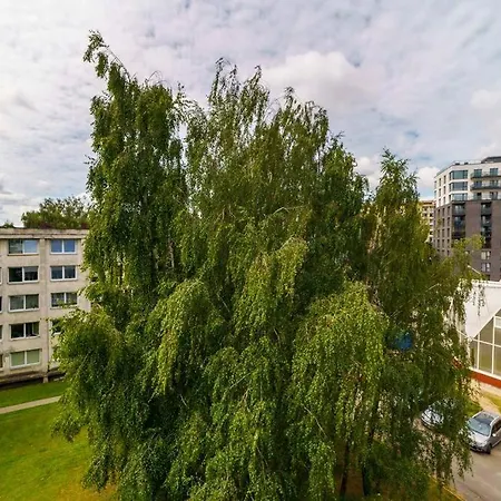 Stylish Studio In Iii Vilnius
